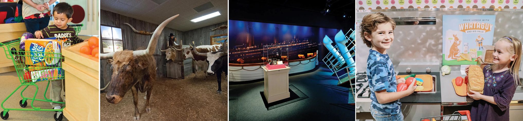 Museums in South Carolina, South Dakota, Tennessee and Texas Children’s Museum of the Upstate, High Plains Western Heritage Center, the Titanic Museum Attraction and the DoSeum