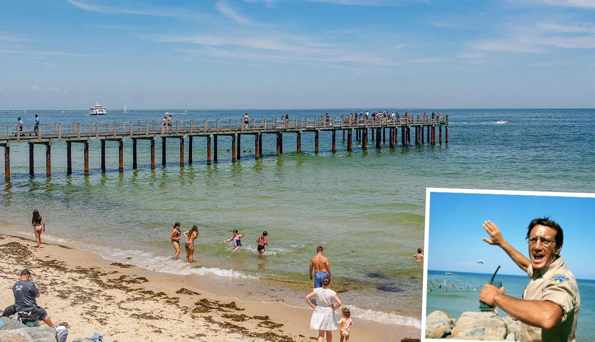 a split image of martha’s vineyard and a scene from the movie jaws