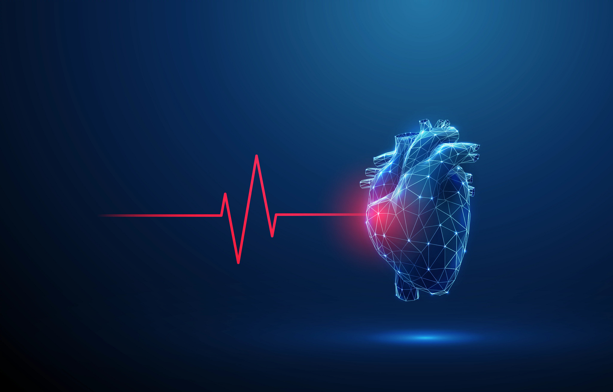 A blue digital wireframe illustration of a human heart next to a red heartbeat line on a dark blue background.
