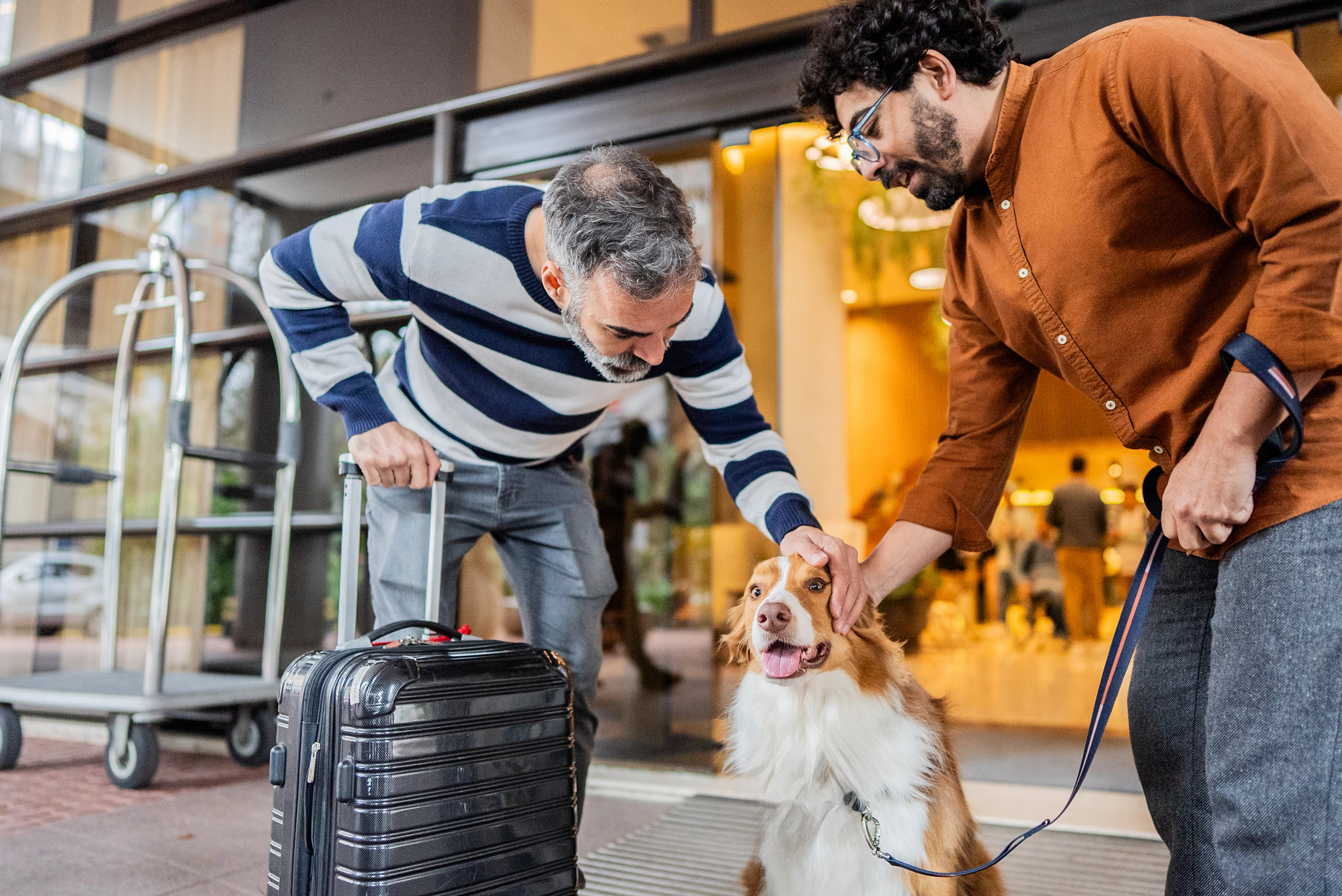 people petting a dog