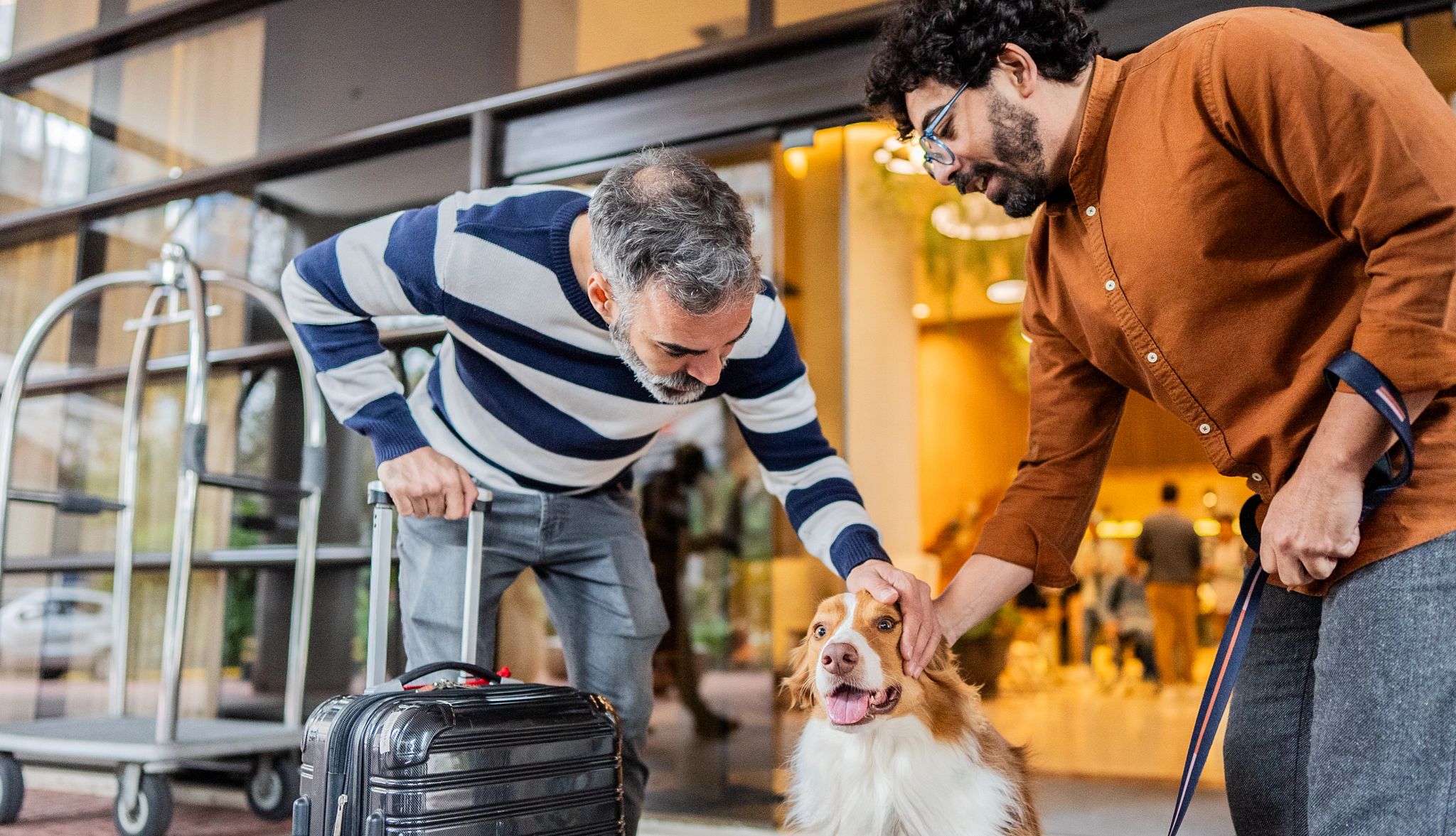 Smart Guide to Traveling With Pets people petting a dog