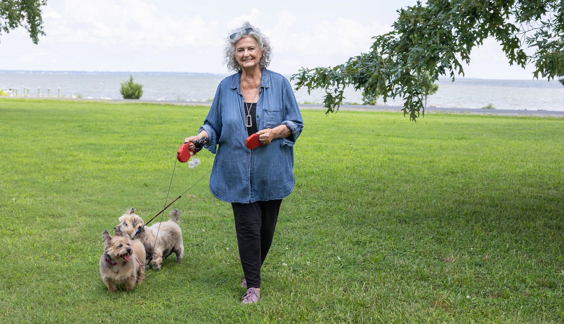 foto de Canby paseando a sus perros