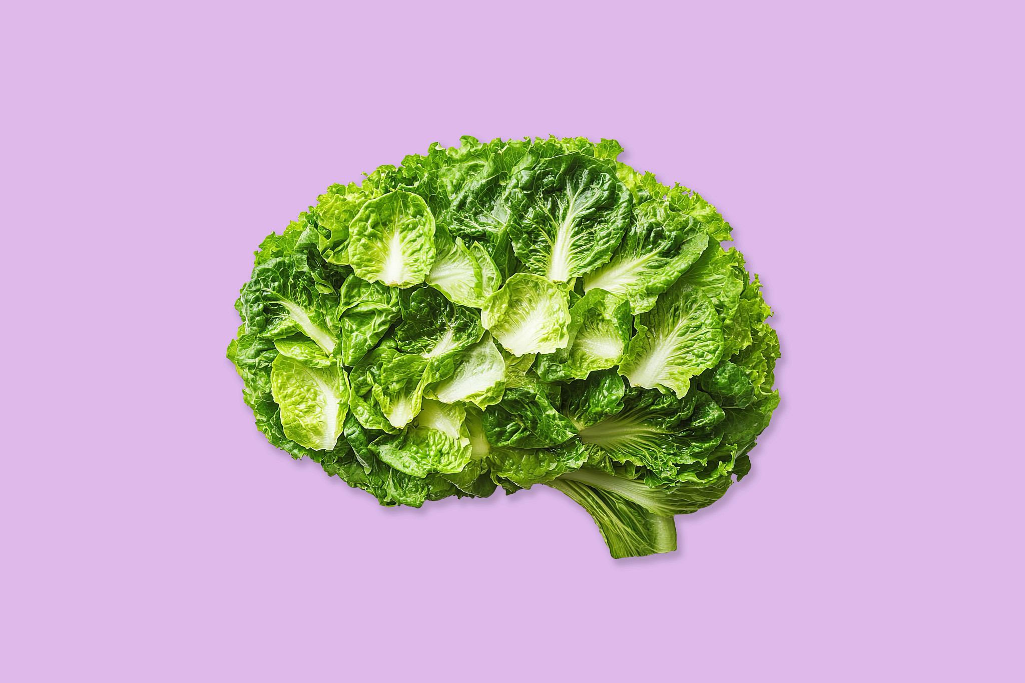 artistic representation of a brain made from green leafy vegetables to symbolize brain-healthy nutrition