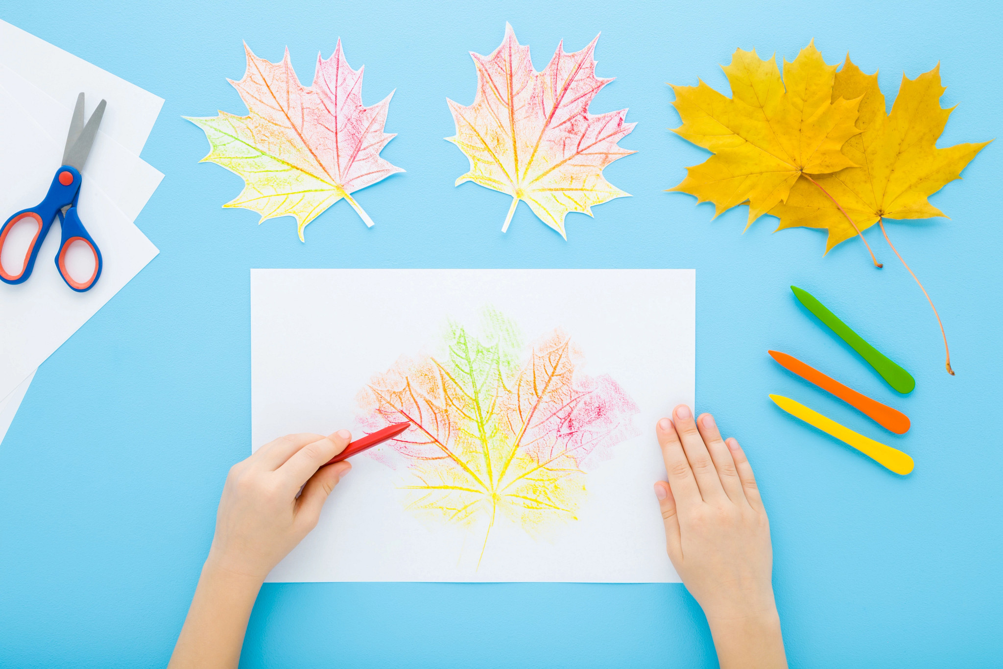 An overhead view of a child’s hands using leaves, scissors and colors to create a place setting