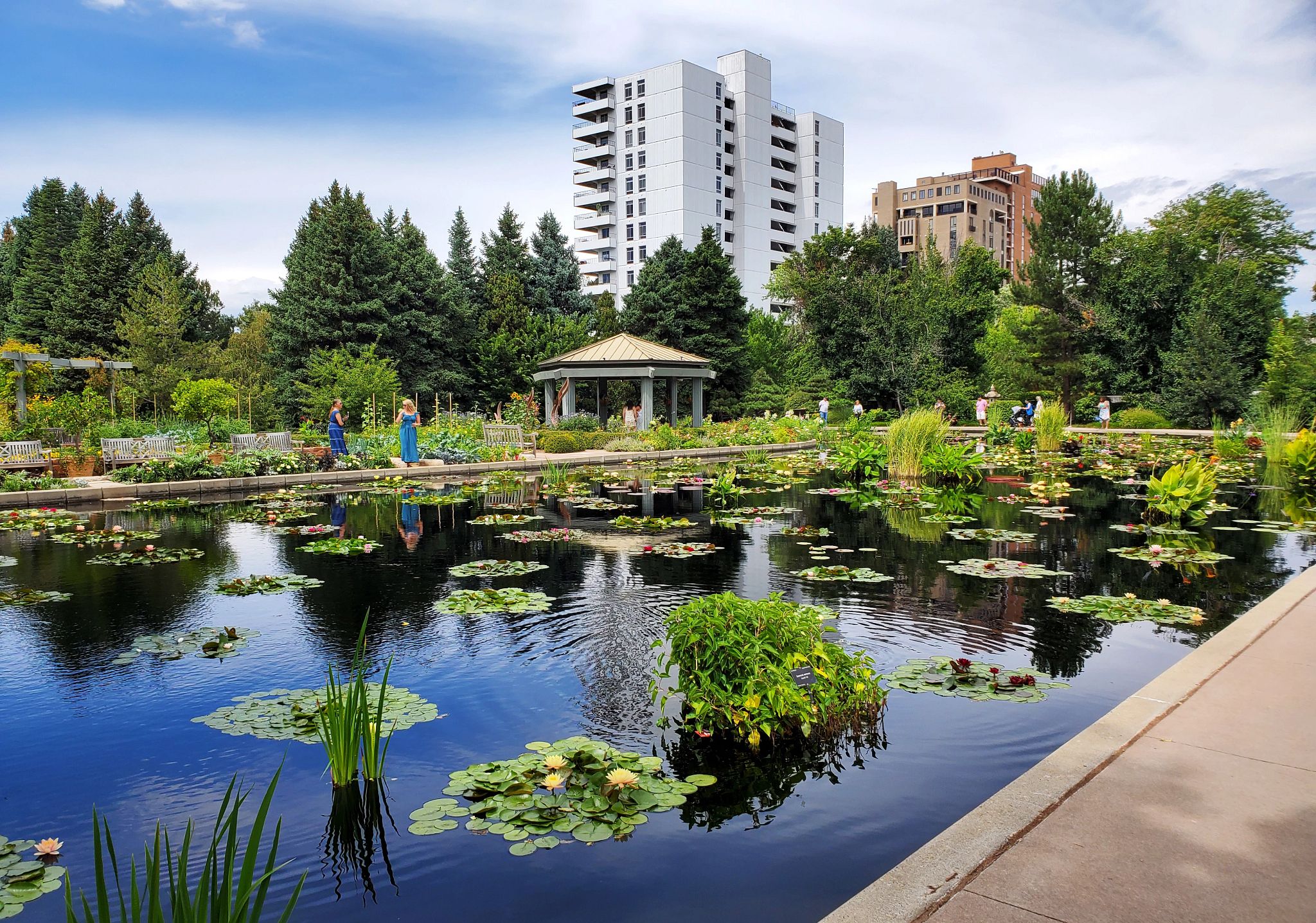 Japanese Gardens people walking around a pond in a botanic garden