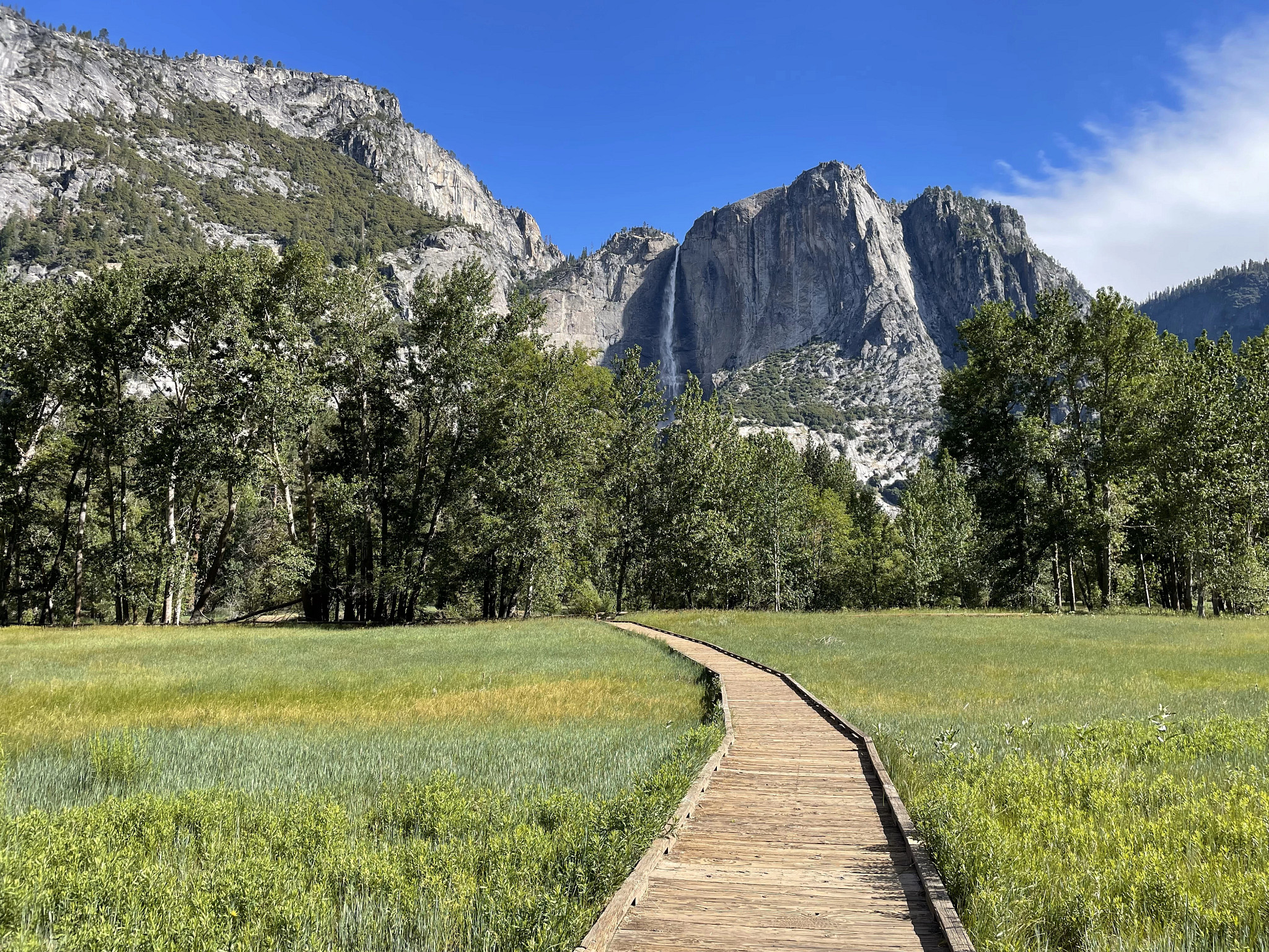 a boardwalk at Yosemite National Park