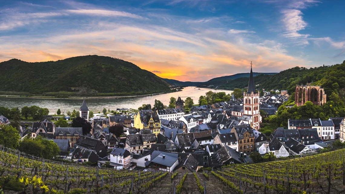 Germany Rhine Bacharach vineyards