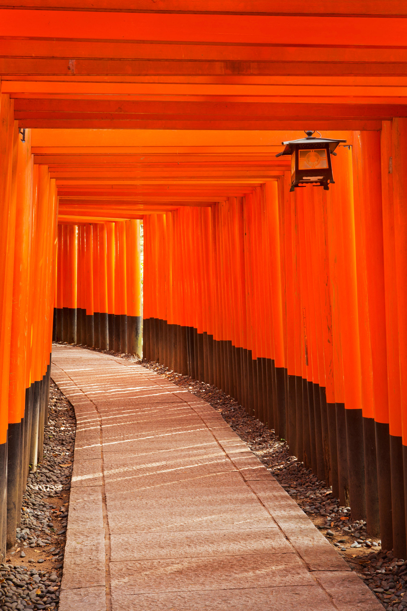 Kyoto’s Fushimi Inari Taisha﻿ shrine 