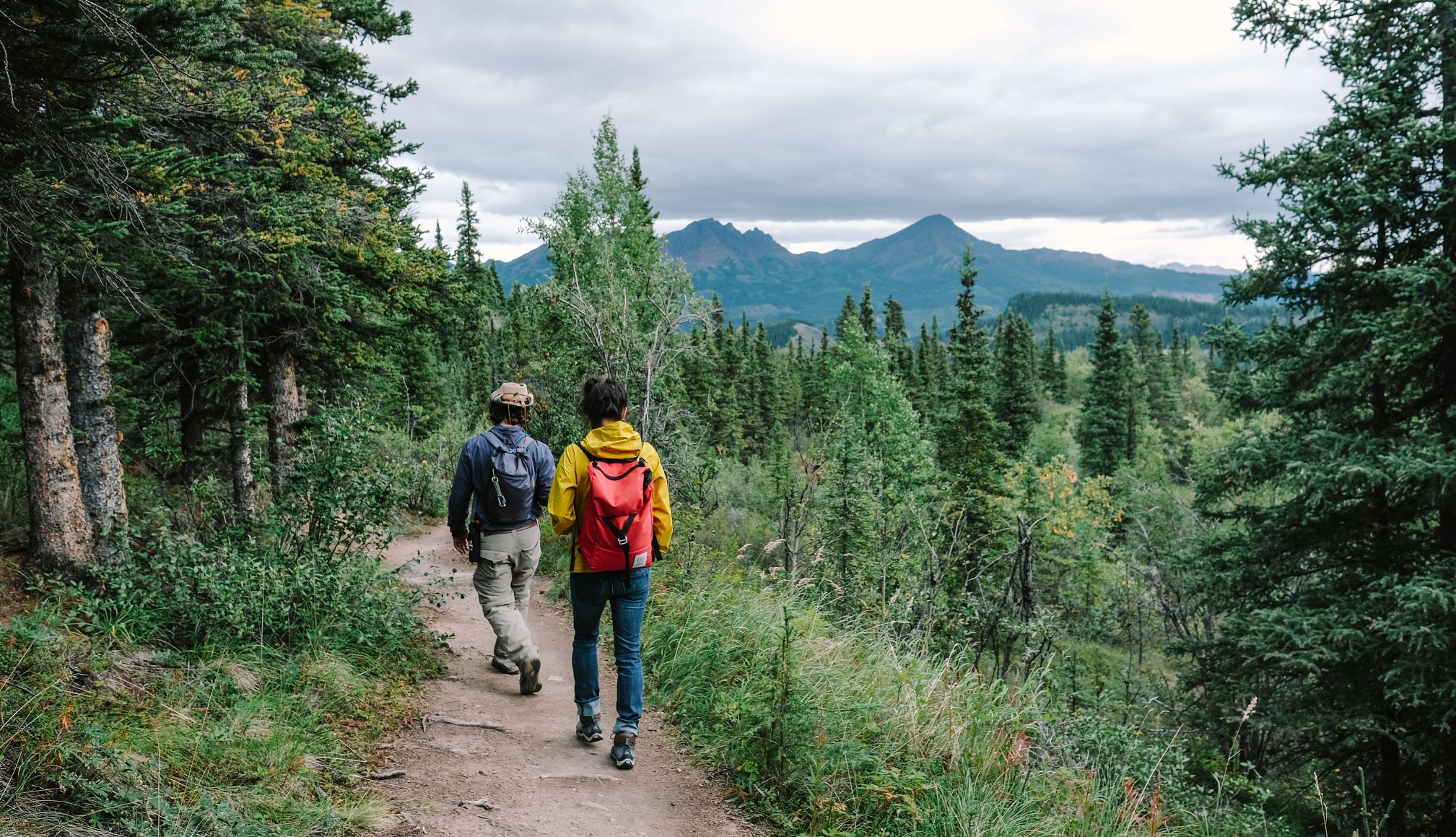 Parque Nacional Denali