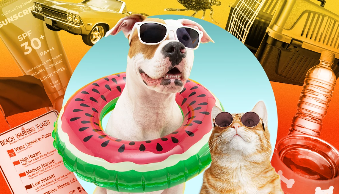 un gato y un perro con gafas de sol en la cabeza