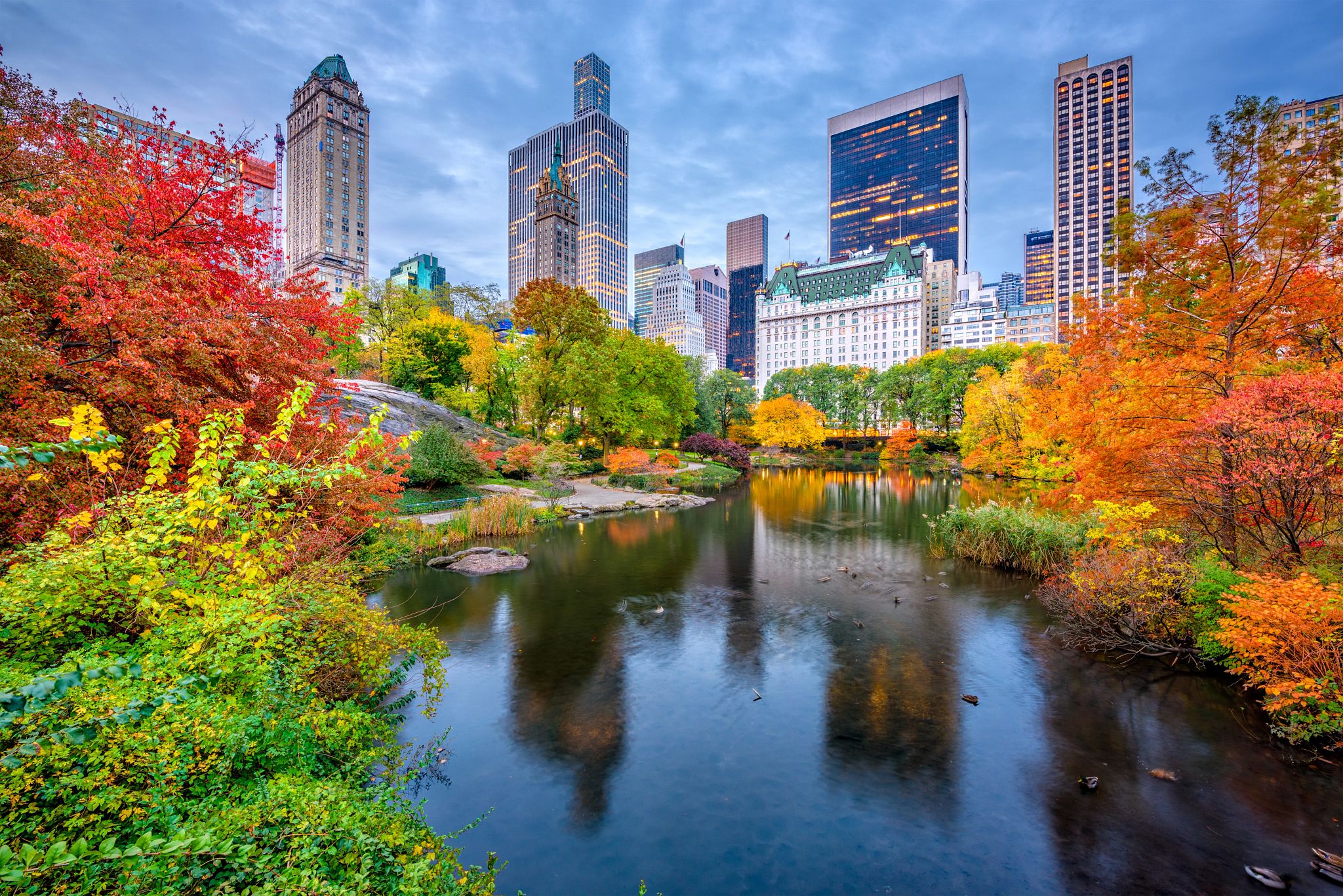 Central Park in Fall