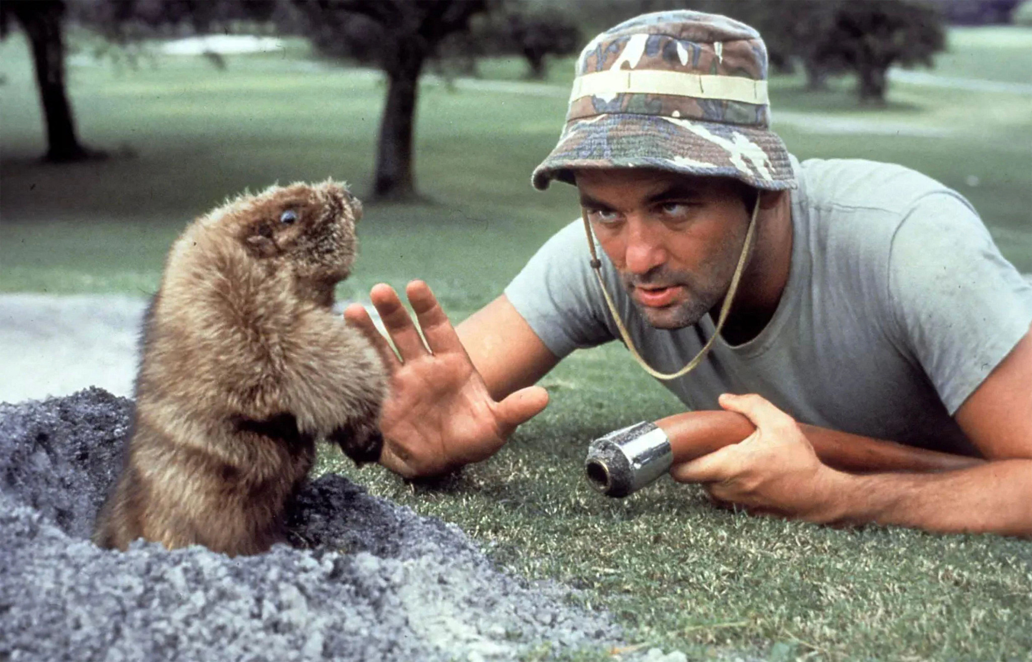 bill murray in a scene from caddyshack