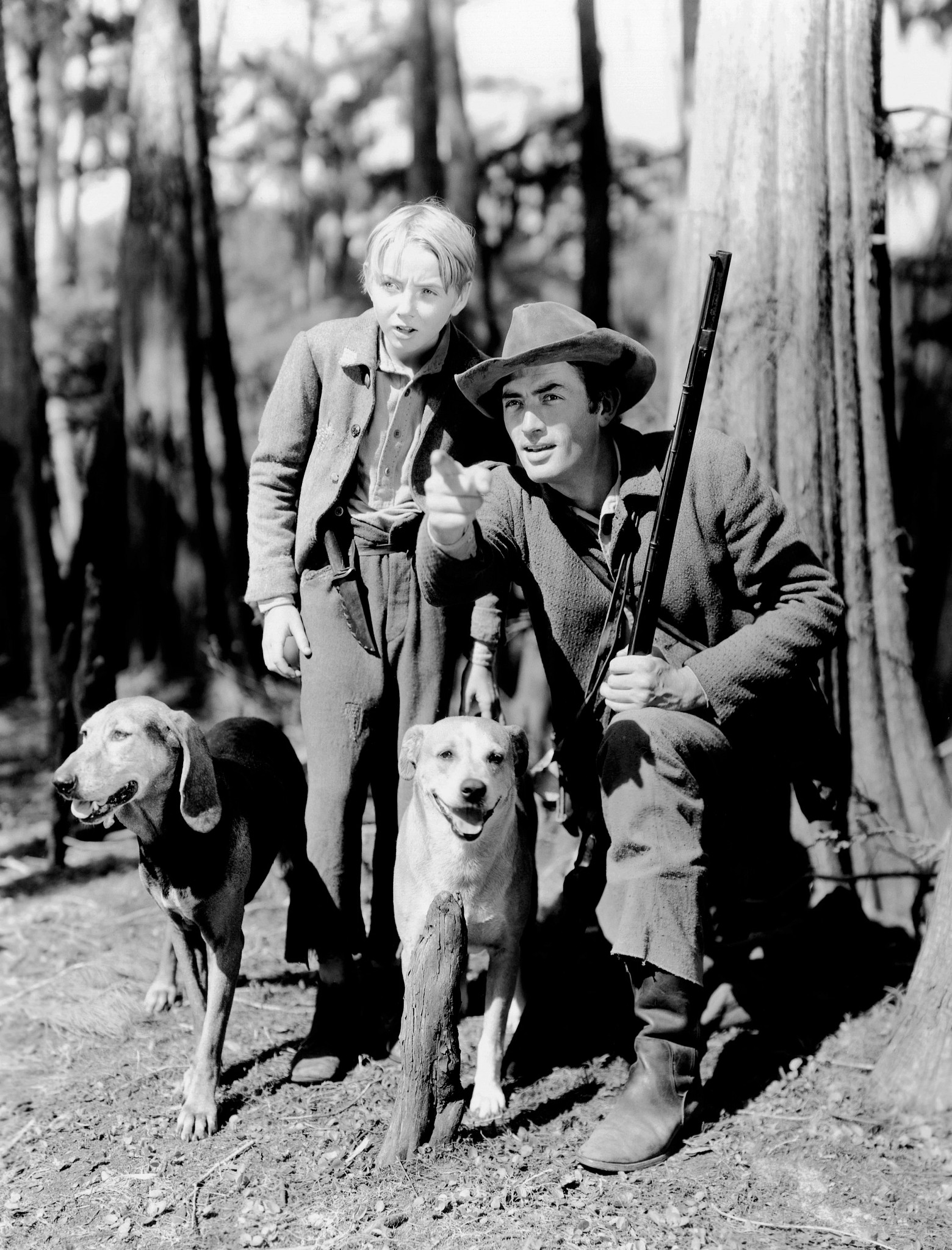 a photo shows Gregory Peck Claude Jarman Jr. with some of the dogs featured in the 1946 film The Yearling.