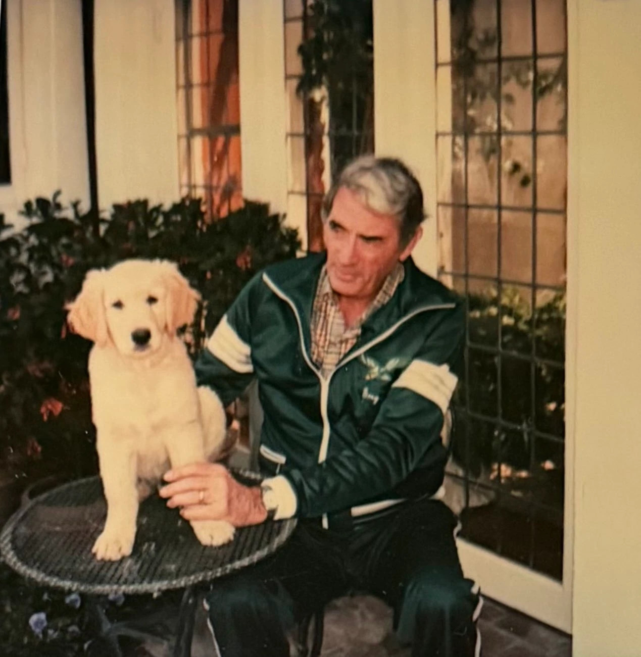 a photo shows Gregory Peck with his golden retriever puppy, Raj