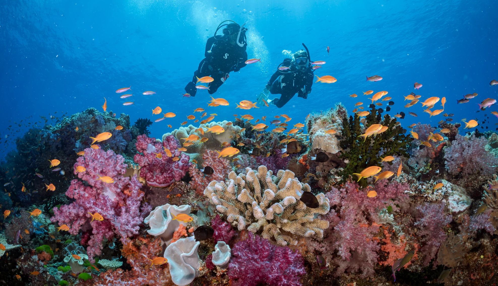 Aunt and Niece Take Unforgettable Trip to Fiji two people scuba diving