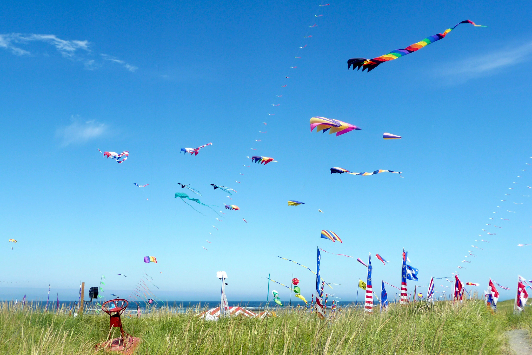 kites fly above a beach