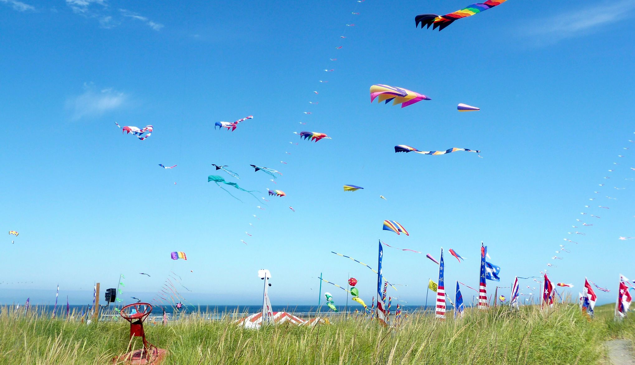 Nostalgic Beach Getaways kites fly above a beach