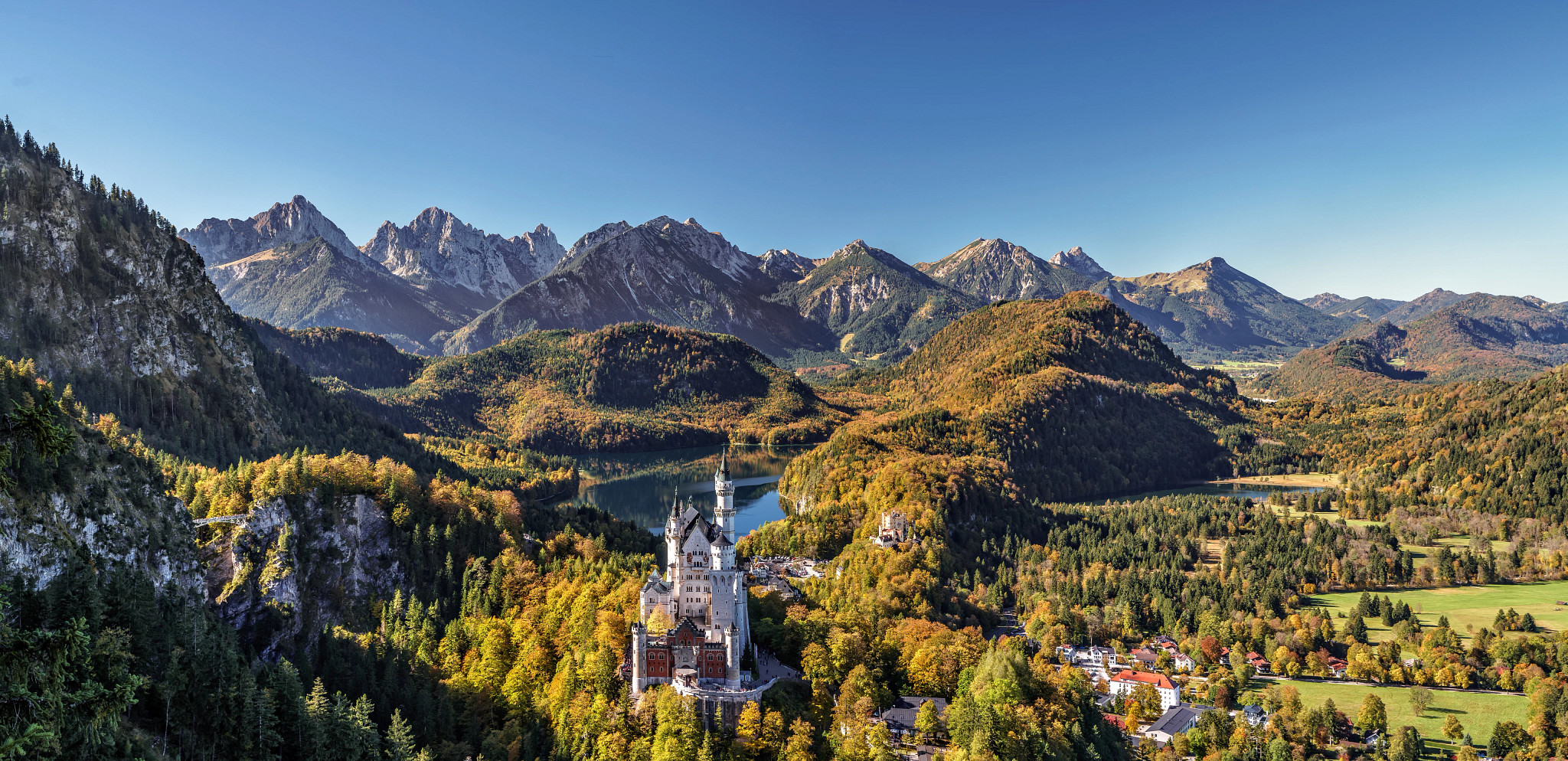 Neuschwanstein Castle surrounded by trees in germany