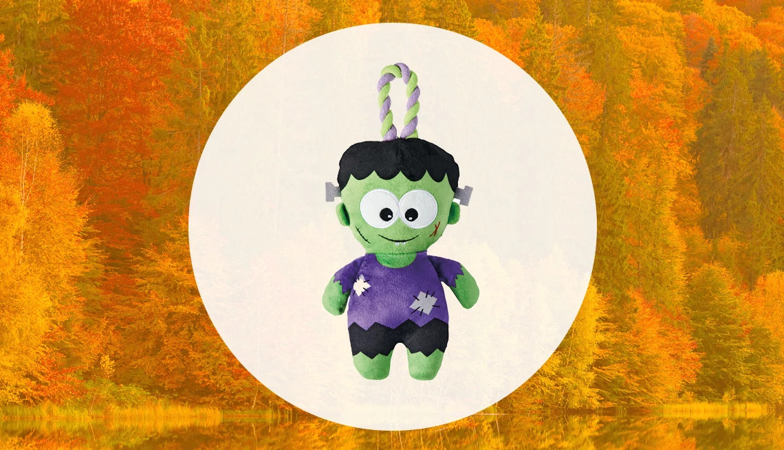 Halloween Pet Toy