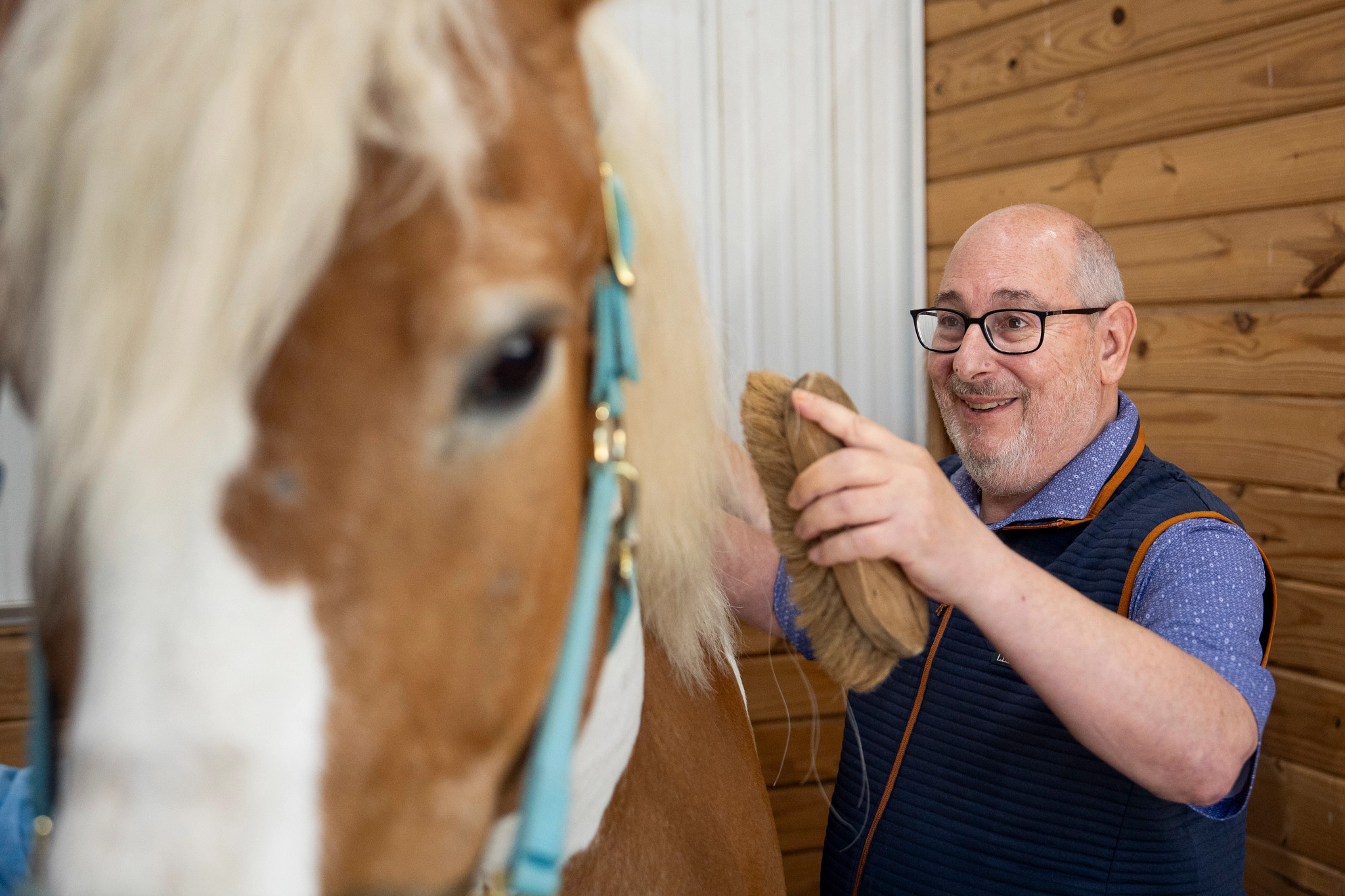 a person is brushing a horse
