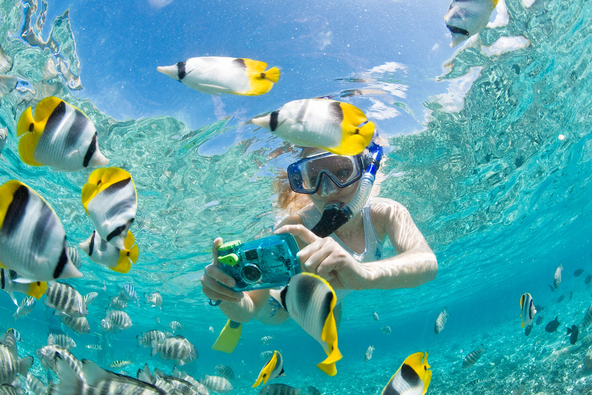 Woman snorkeling and taking photos of fish with underwater camera