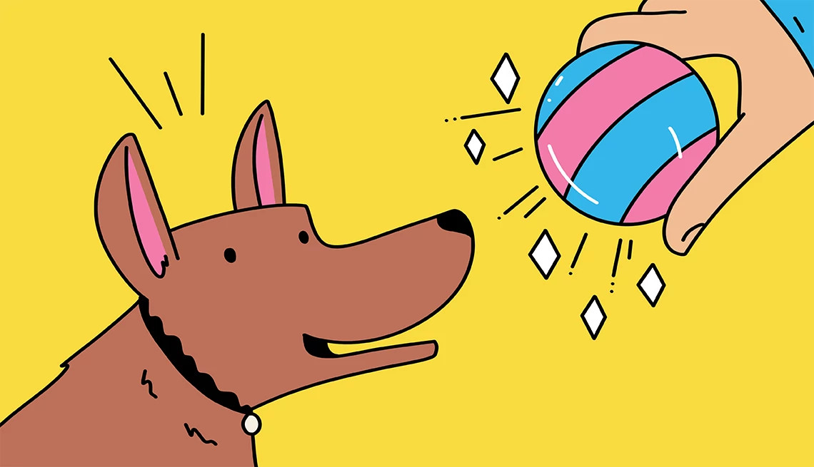 An illustration shows a pet owner placing a ball in front of a dog’s nose