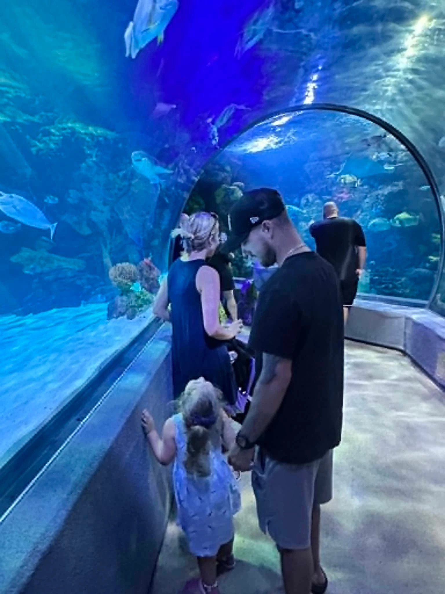 child and parent holding hands in aquarium tunnel
