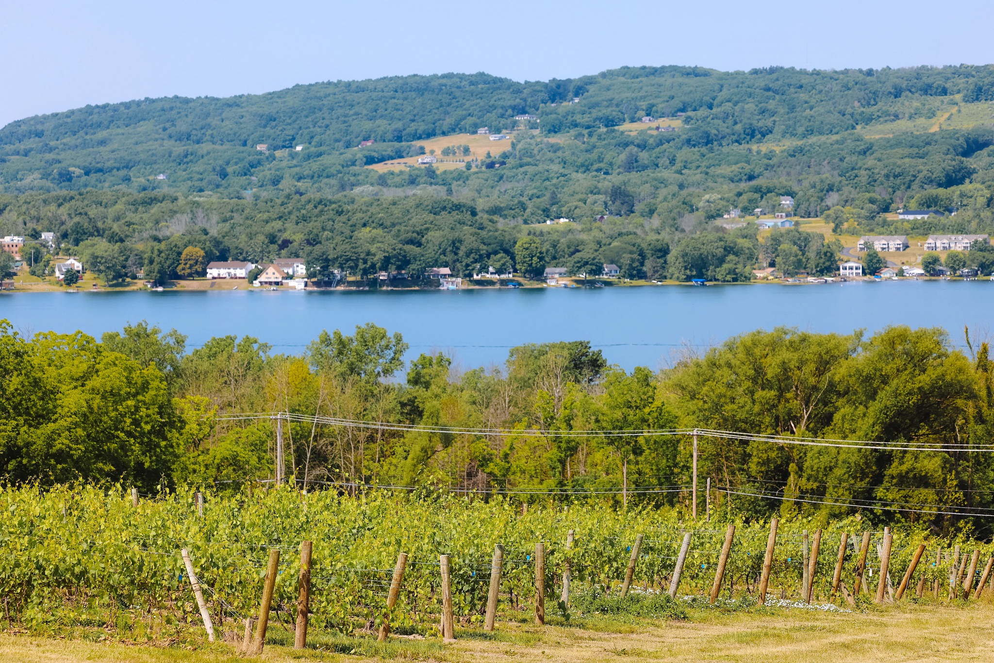 Cortesía de Finger Lakes Wine Country