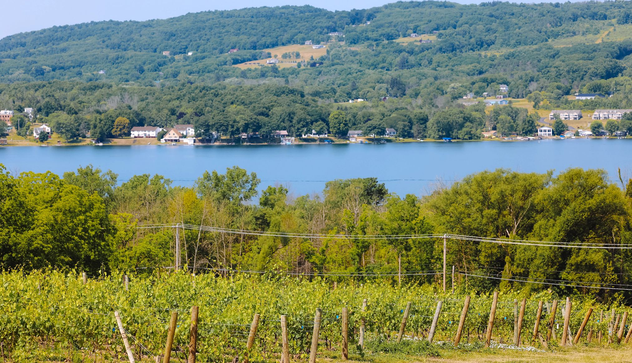 Finger Lakes wine region wine trails at Finger Lakes