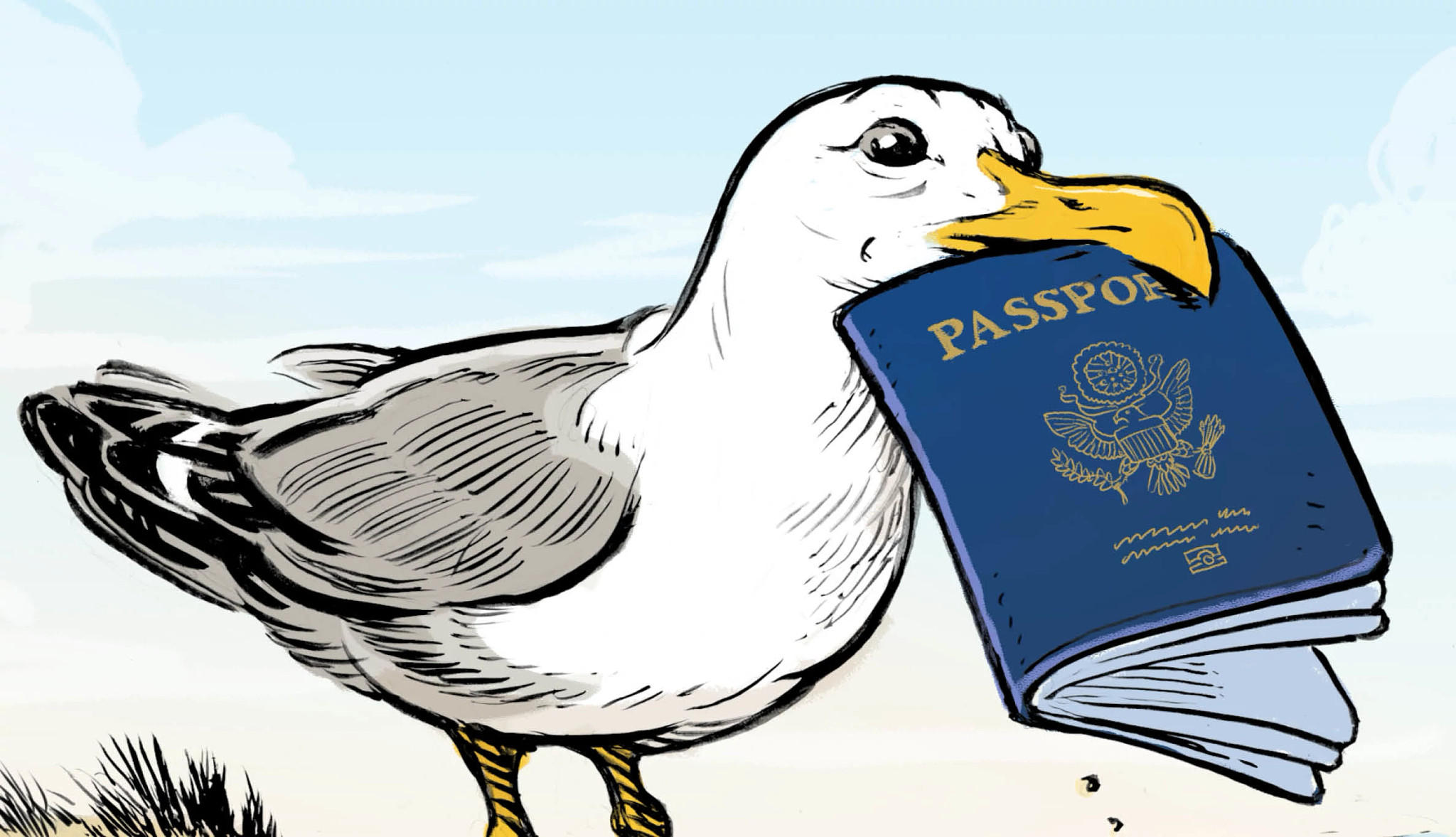 illustration of a bird with a passport in its mouth