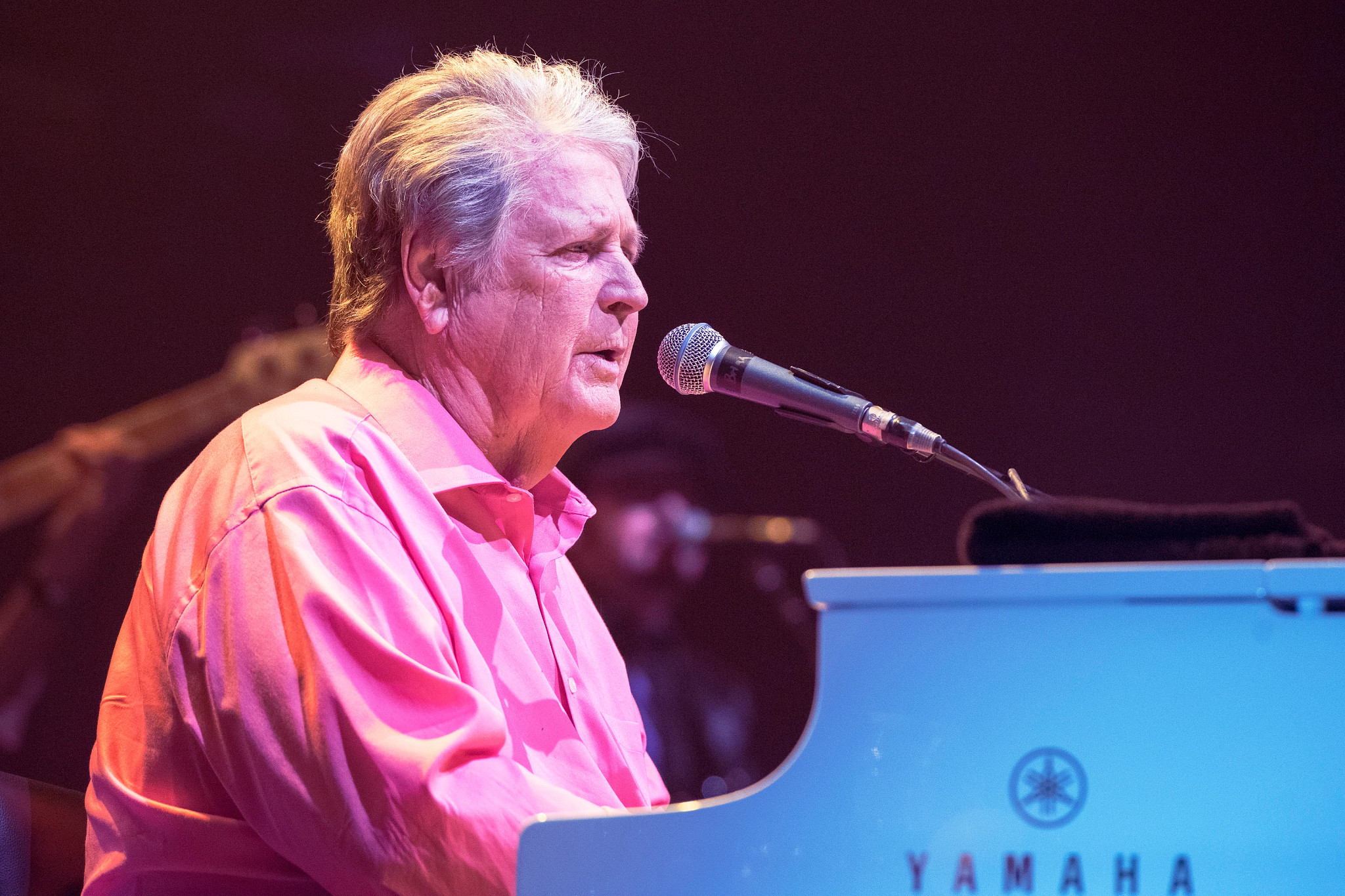 Brian Wilson continued as a solo performer
