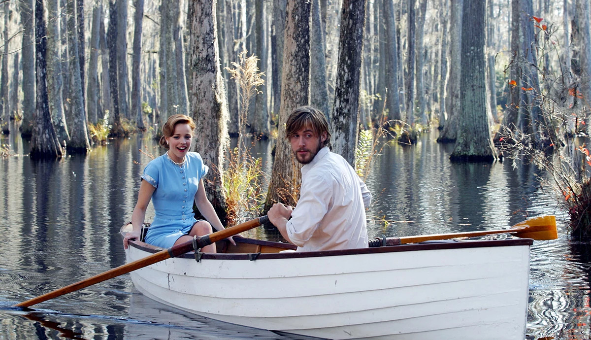 a scene from the notebook