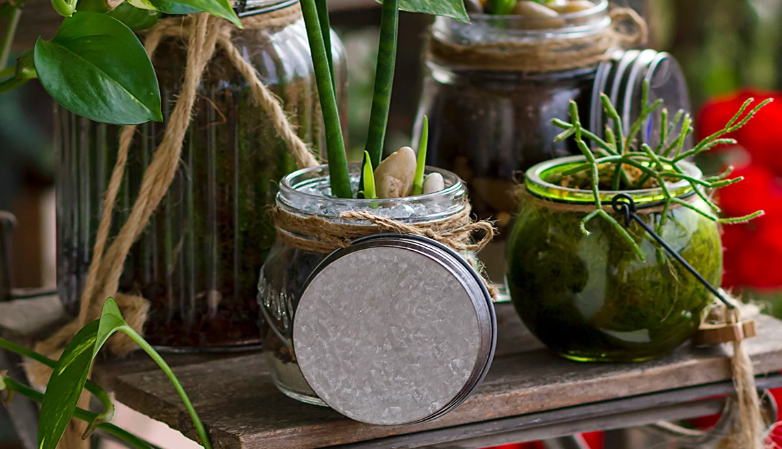 plantas en macetas recicladas