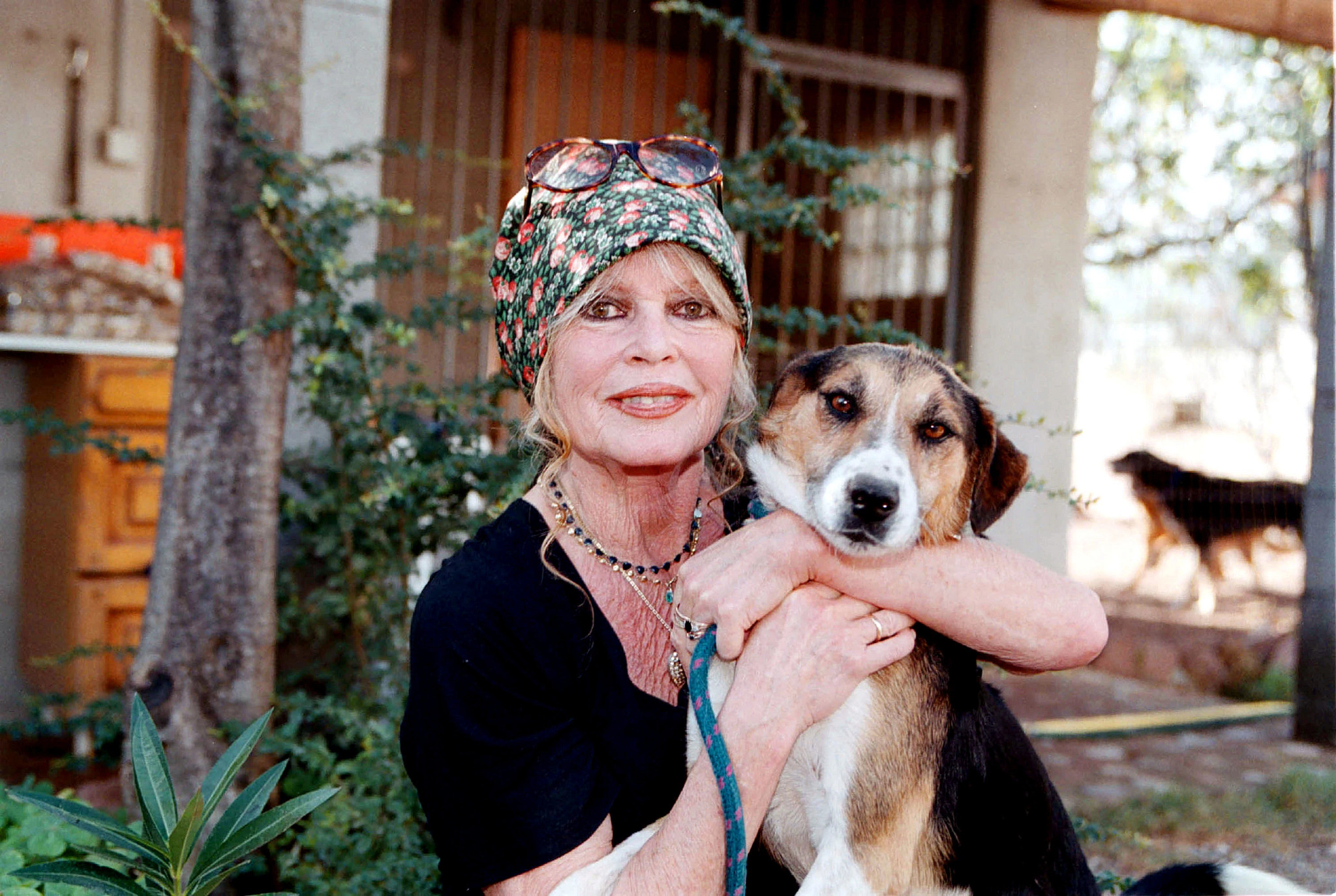 brigitte bardot is shown as an older woman, embracing a dog and smiling