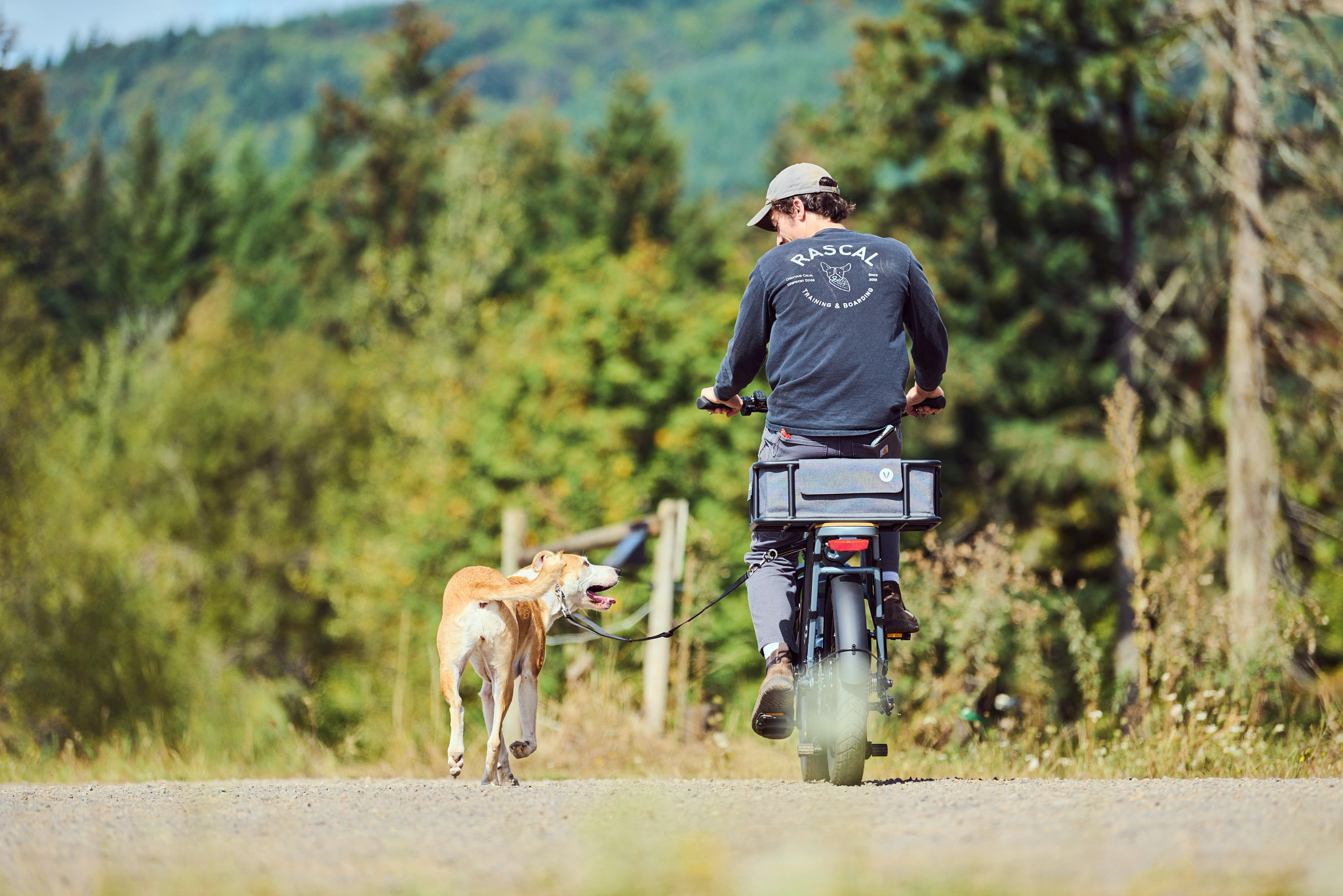 a dog walks on a leash while a trainer rides a bike 