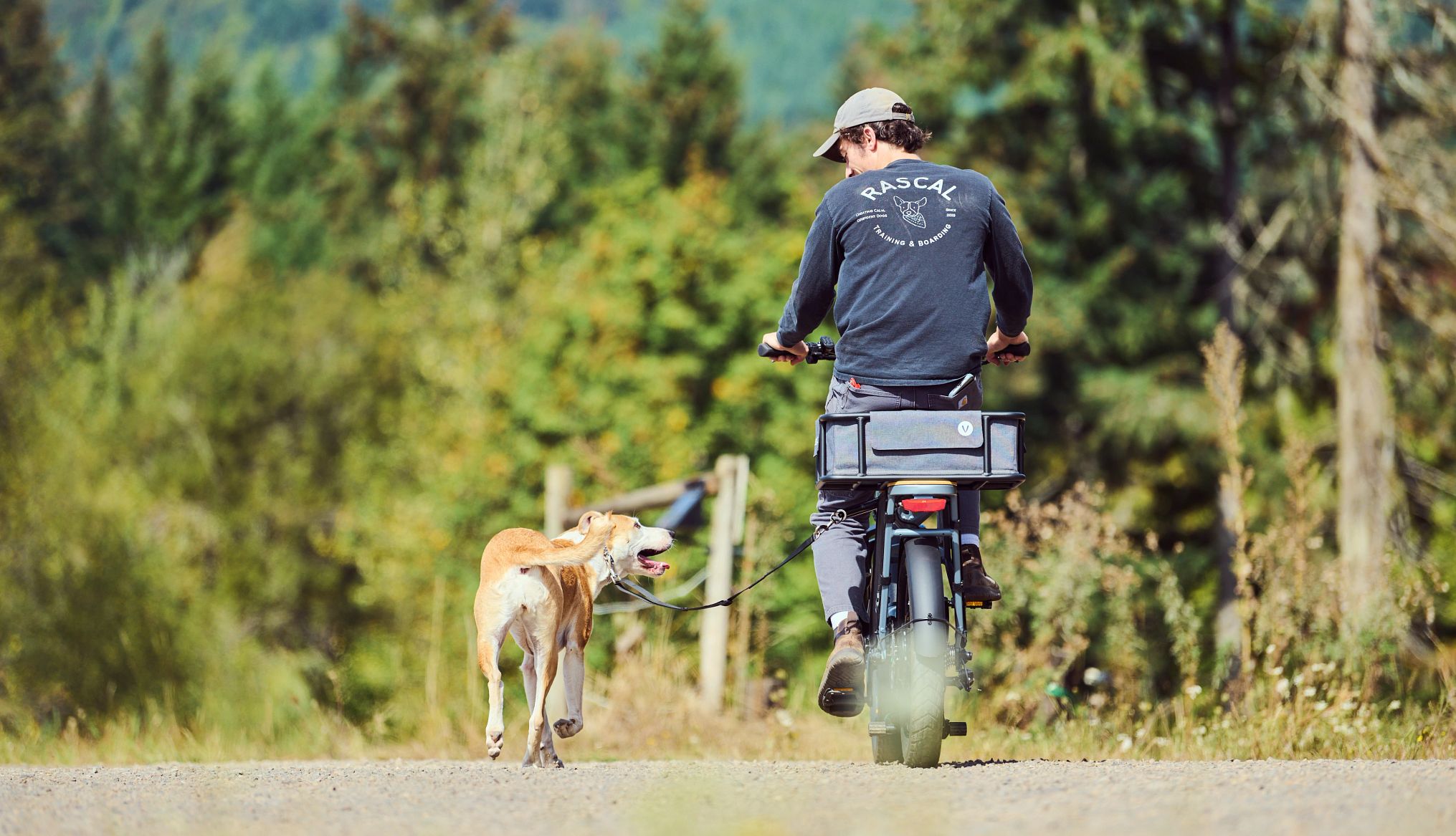 be sure the training matches your dogs personality a dog walks on a leash while a trainer rides a bike