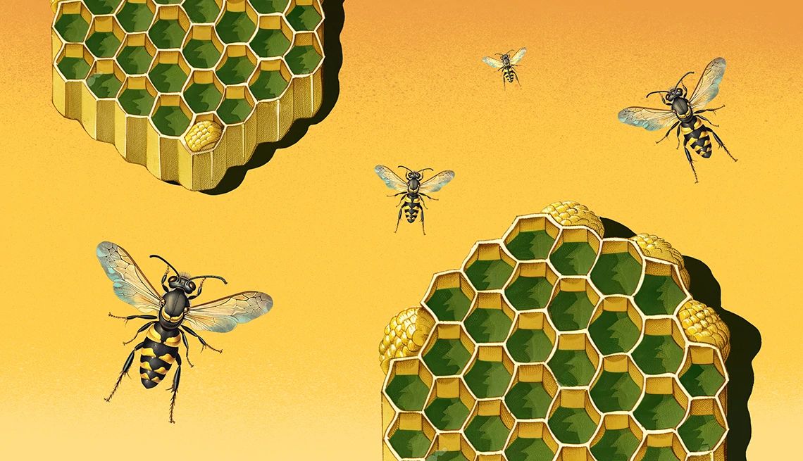 do not try to remove a wasp nest by yourself wasp and wasp nests