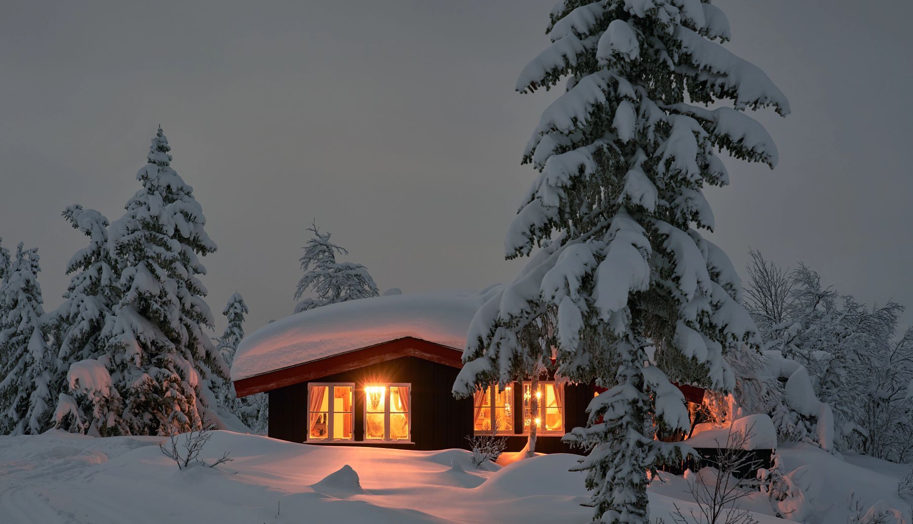 Should you get a gas or electric portable generator