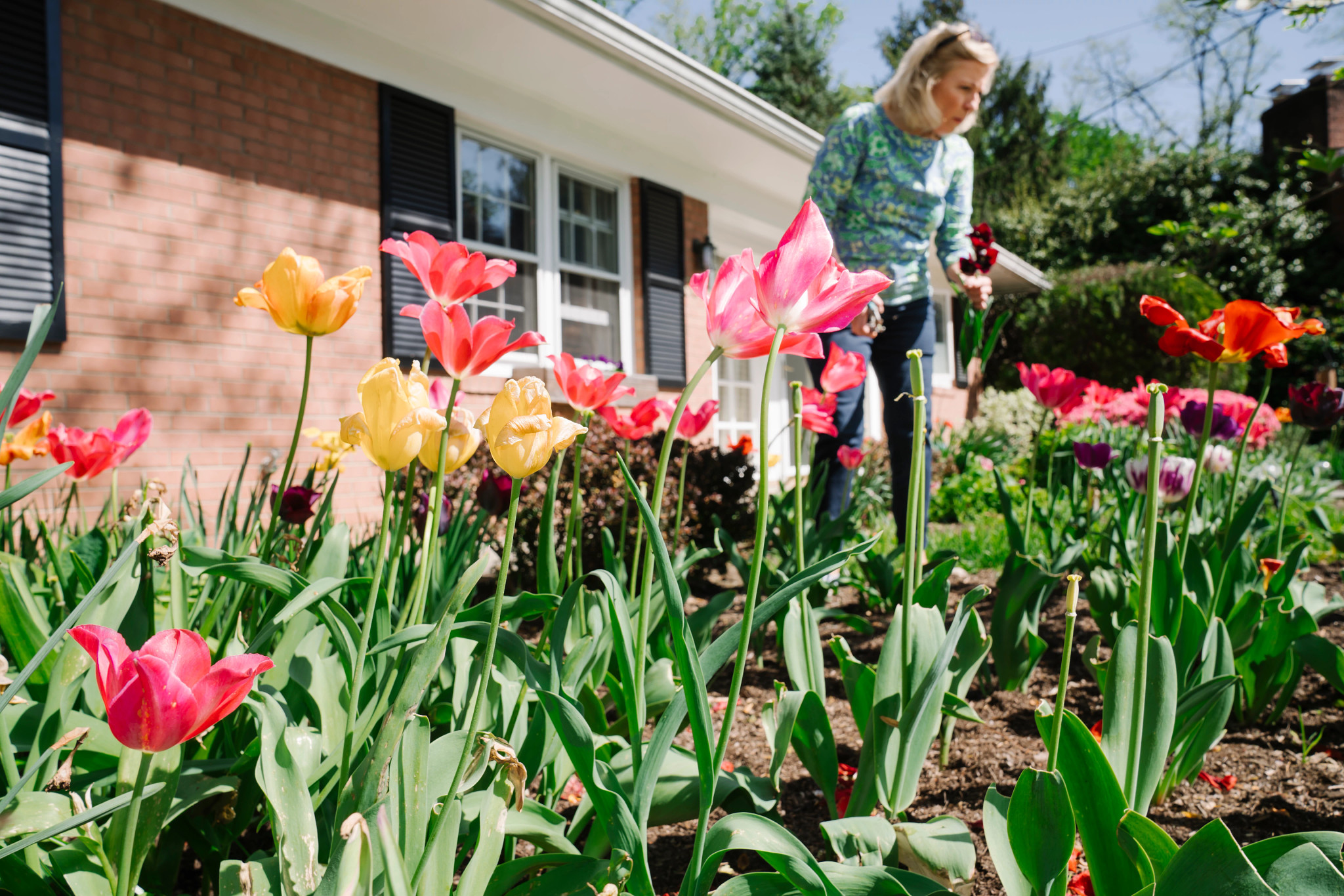 the author in her garden