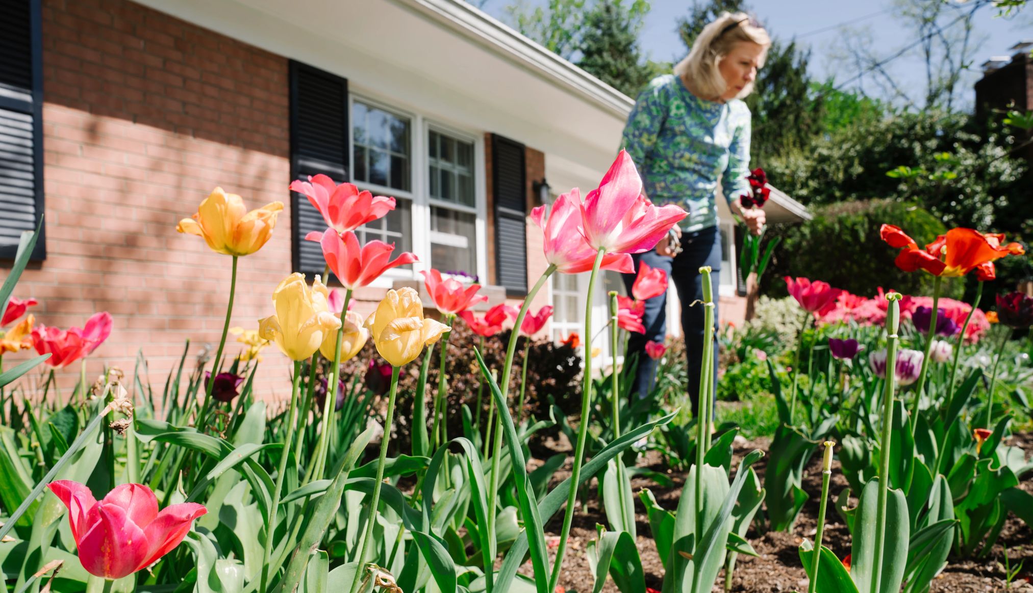 gardening was one of the hobbies the author took up the author in her garden