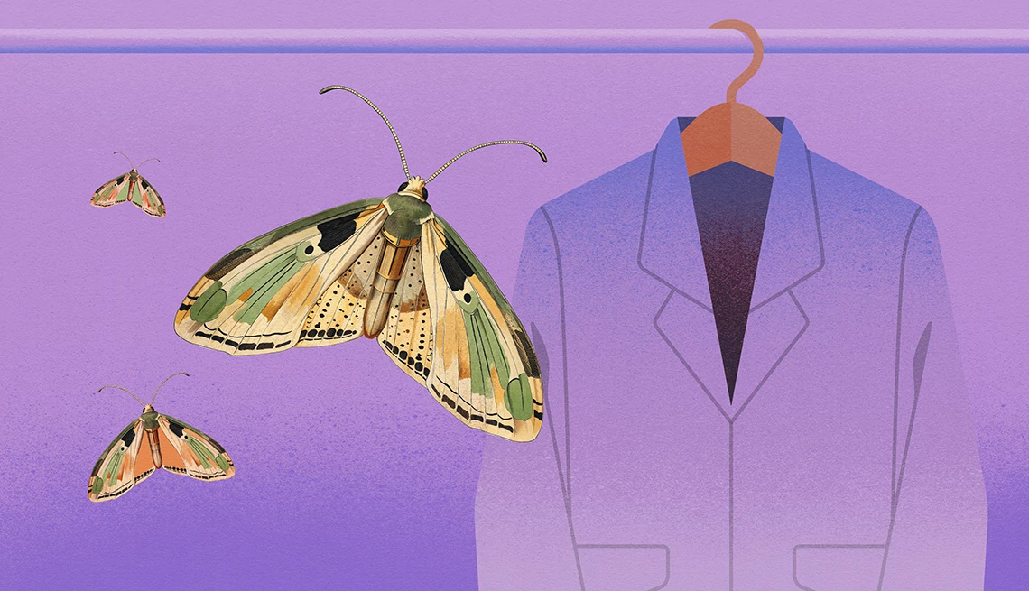 wipe everything down in your closet to avoid moths an illustration of a moth and a jacket