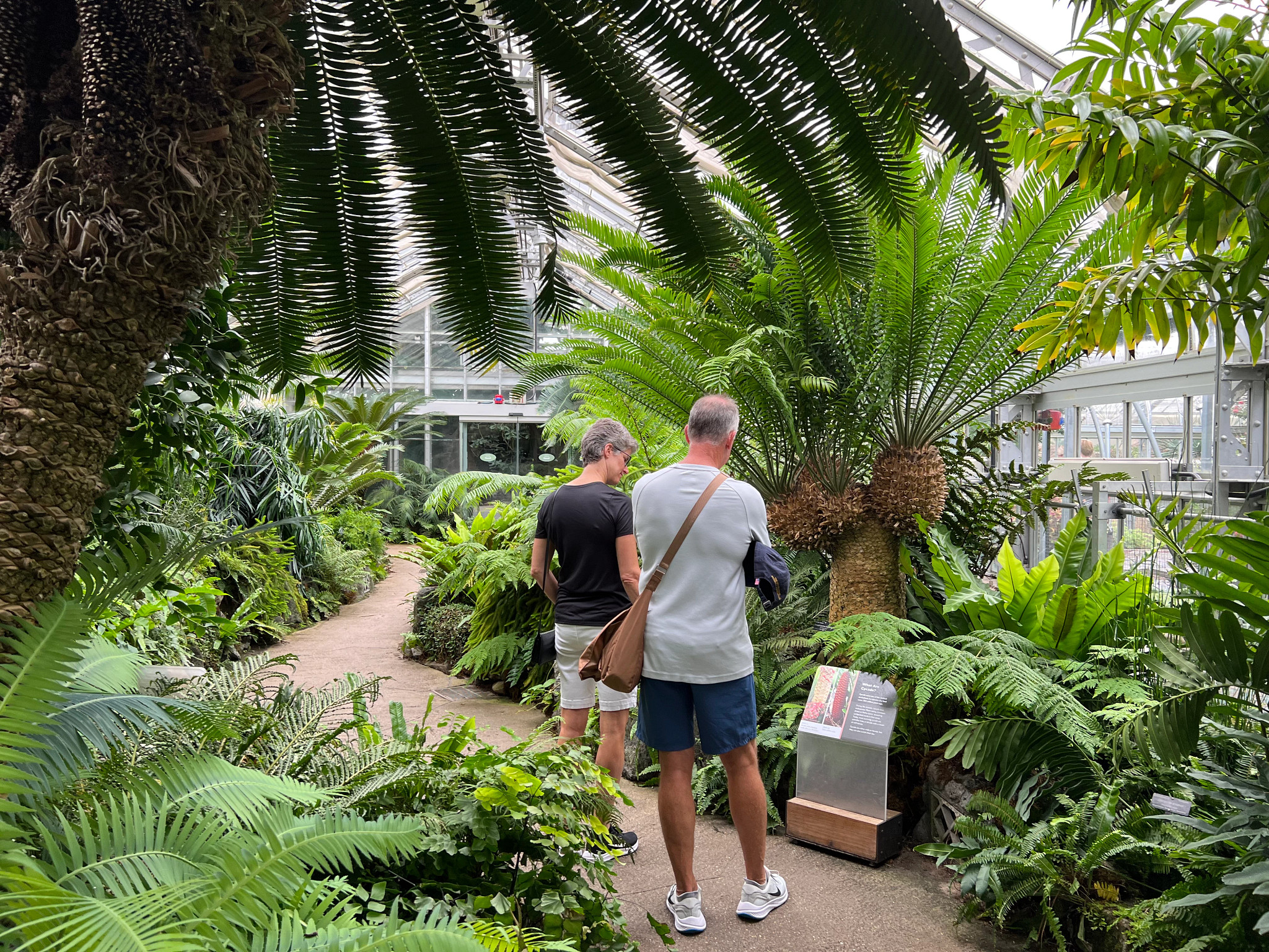 people reading a sign inside a botanic garden
