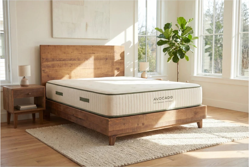 The Avocado Eco Organic on display in a bright room with a green plant
