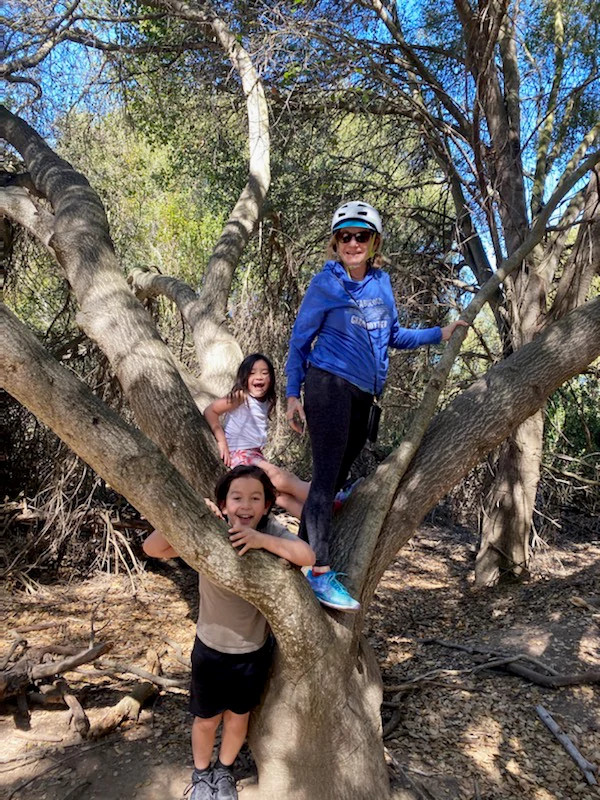 author Judy Rabinor climbing a tree with her grandchildren