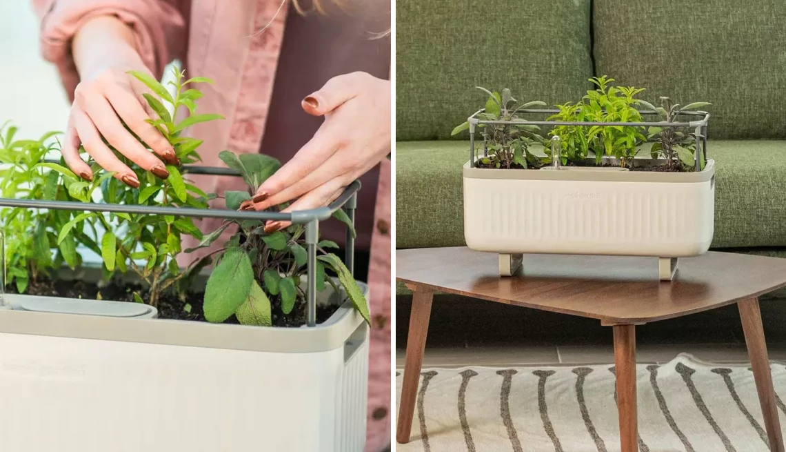 different electronic gift ideas for older adults