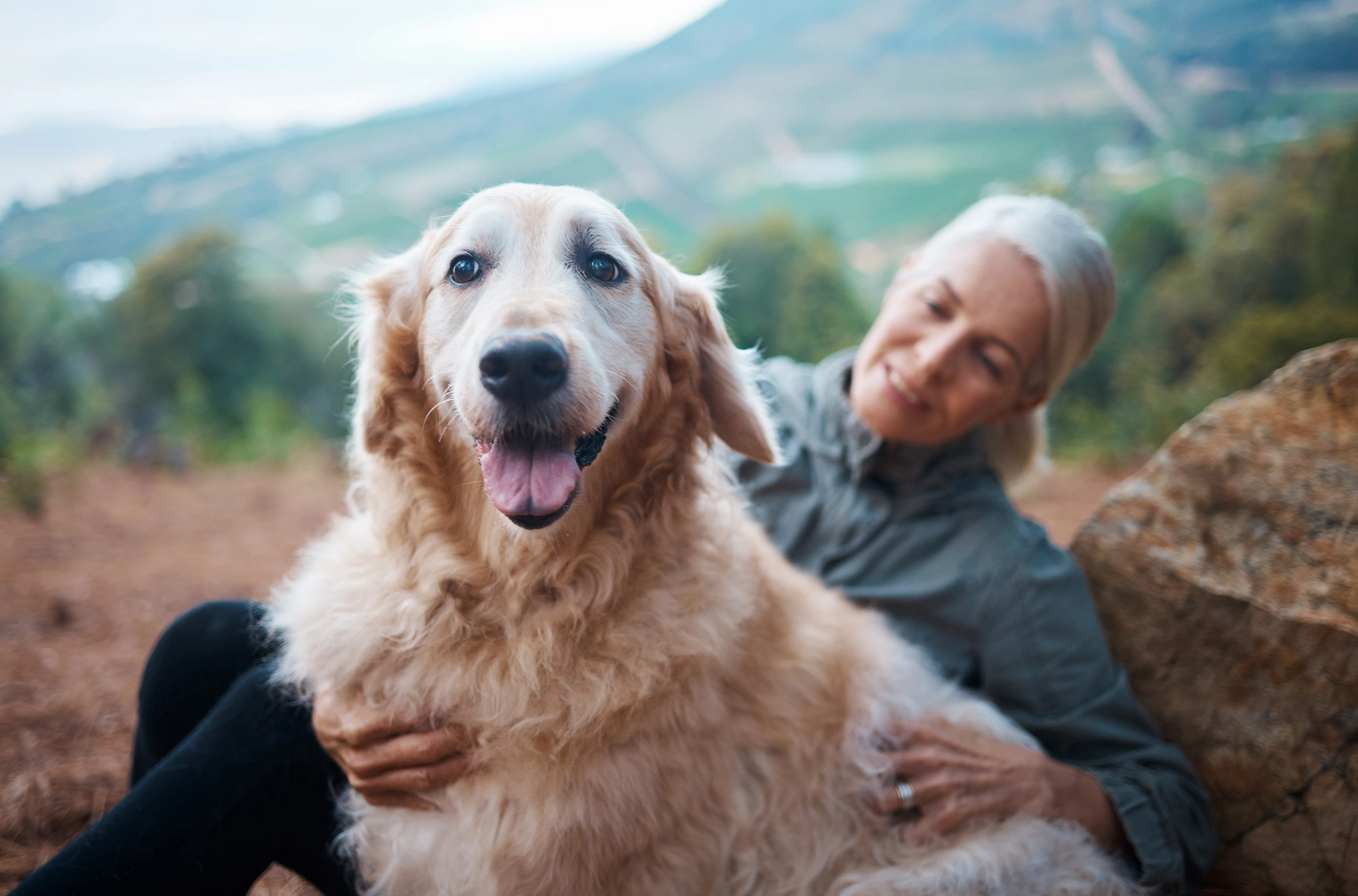 a dog being pet by a woman