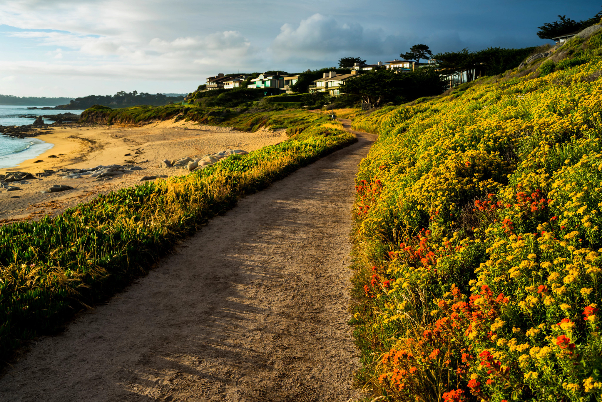 a path near a beach with houses in the background