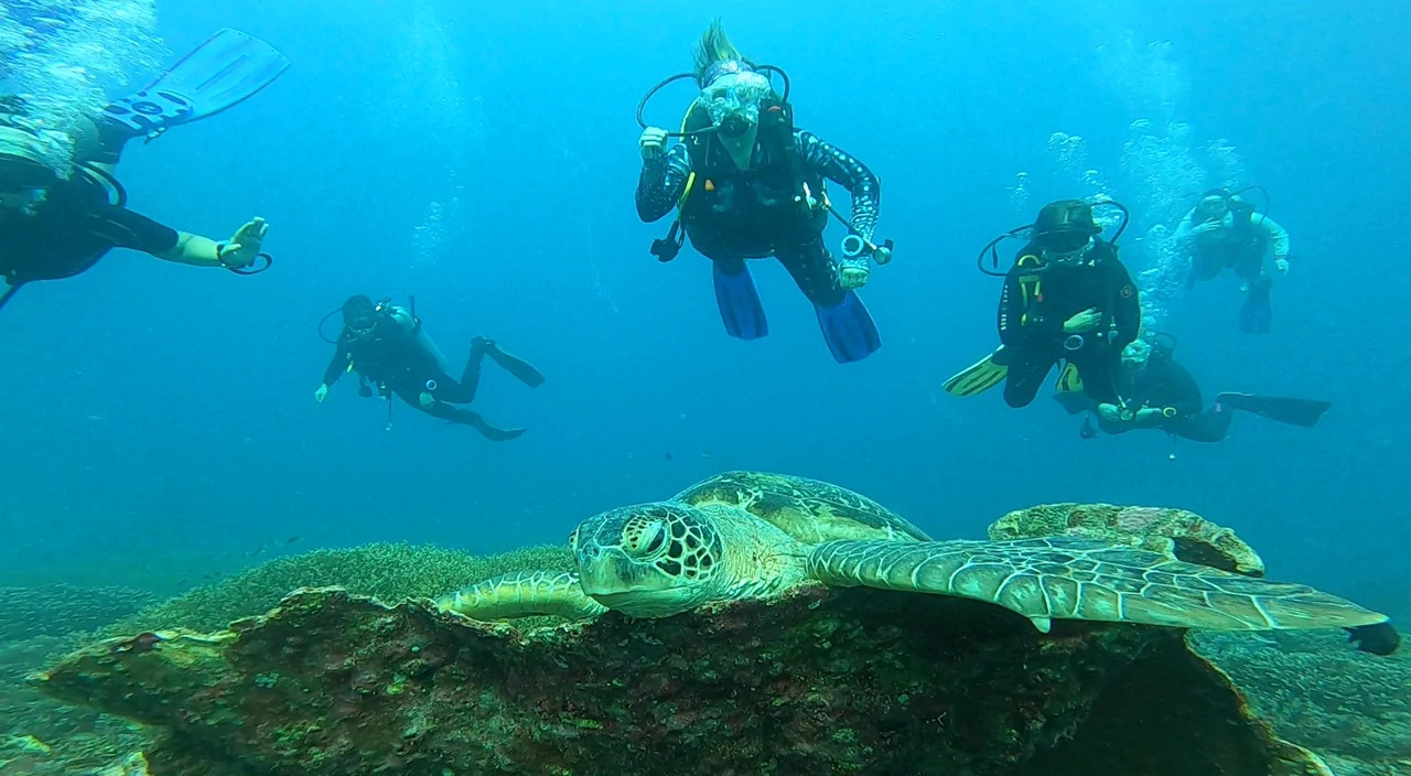 Women under water with a sea turtle on a beautiful diving vacation in Indonesia