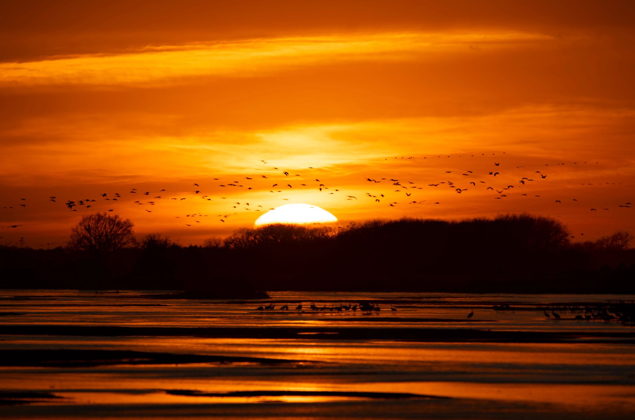 Nebraska’s Sandhill Crane Migration Viewing the cranes at sunset