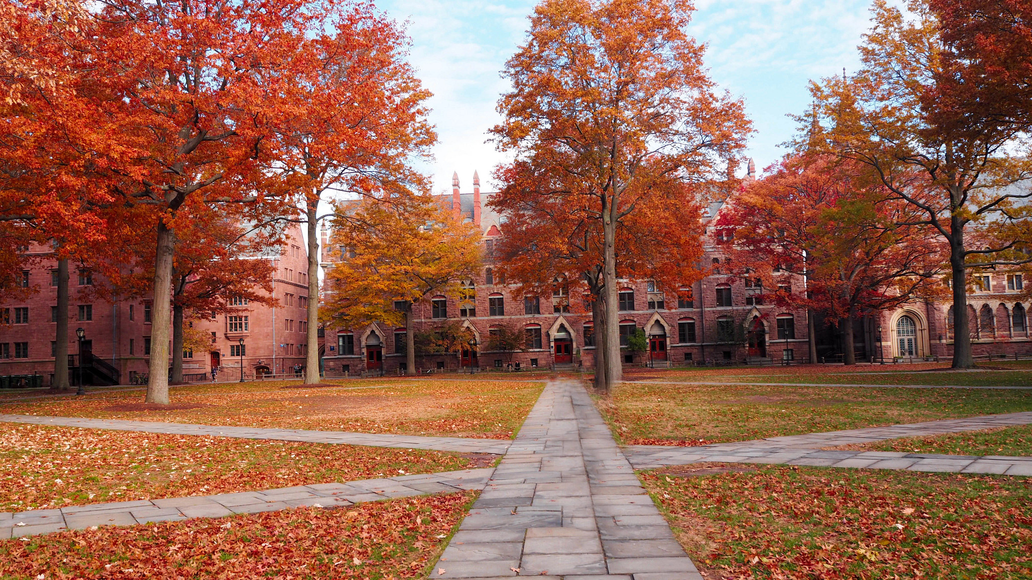 fall at Yale University, in New Haven, Connecticut